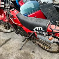 Cagiava aletta rossa  125 Ricambi