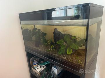 Acquario askoll