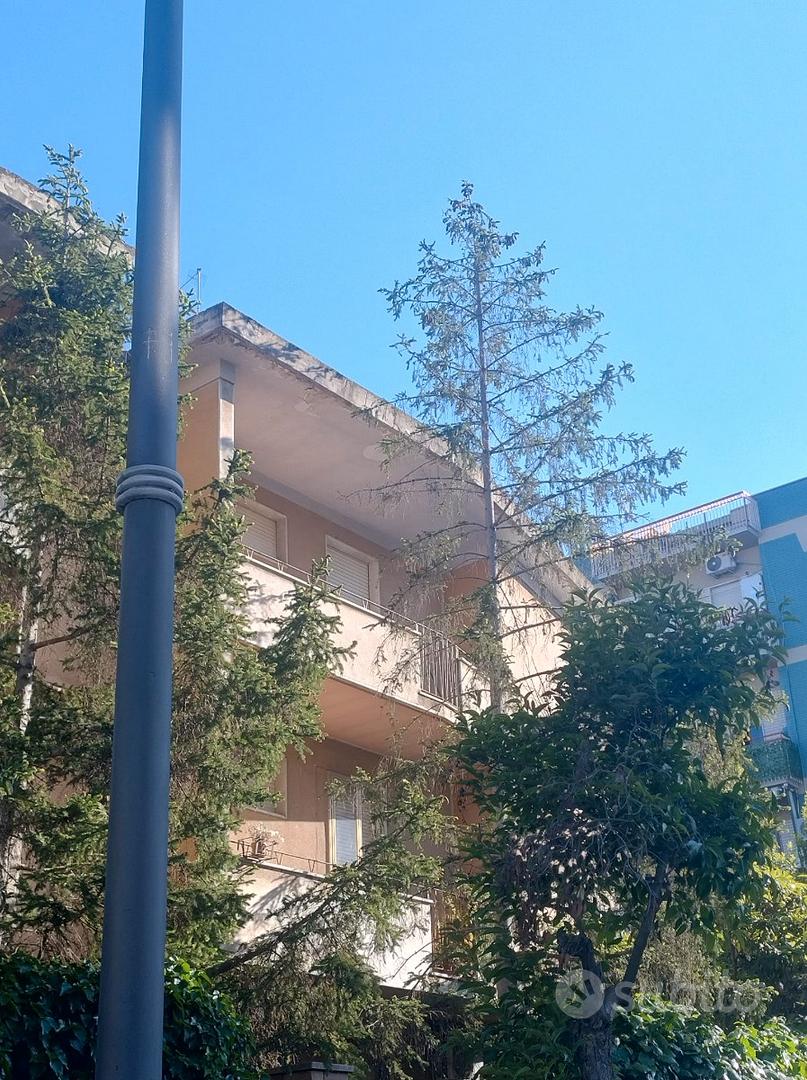 Appartamento su Via Roma - Vista 2