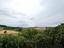 Immagine 17