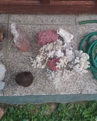 Rocce e sassi x acquario