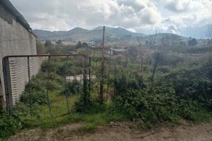 Terreno zona torretta