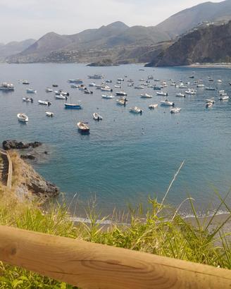 Parco I Delfini SETTEMBRE san Nicola Arcella