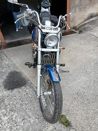 Kawasaki vn800