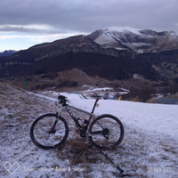 MTB Cube XL