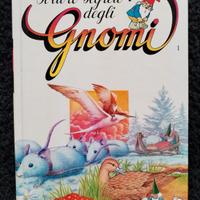 Il libro segreto degli Gnomi, N.1 De Agostini-Amz,