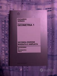 Libro Geometria 1