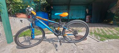 Mountain bike  ragazzo 24