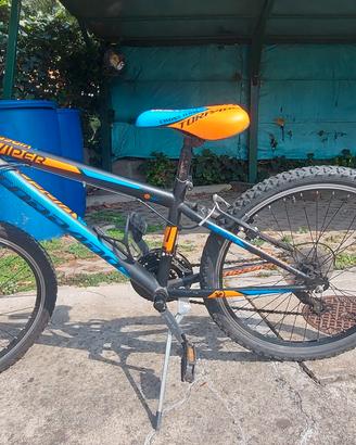 Mountain bike  ragazzo 24