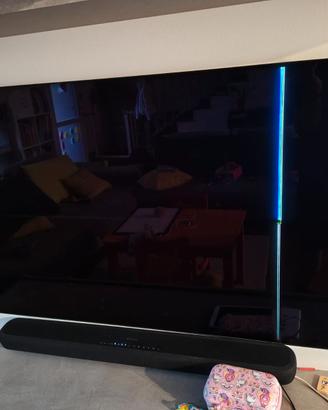 LG OLED 55BX6 Schermo Rotto