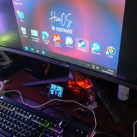 Monitor Asus 34 pollici PG348Q