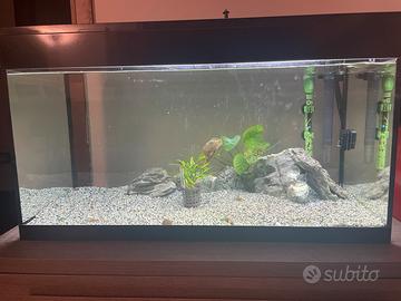 Acquario Askoll pure led