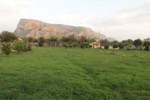 Terreno Agricolo con Casetta Rurale Agli Androni