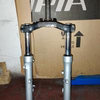 Forcella majesty 250