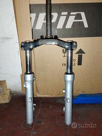 Forcella majesty 250