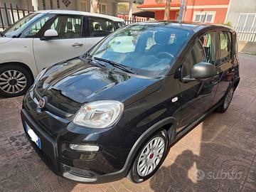 fiat panda 1000 Hybrid