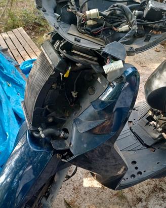 ricambi scooter malaguti password