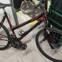 bicicletta da donna Mountain bike 