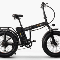 BICI ELETTRICA CON PEDALATA ASSISTITA FAT BIKE SKY