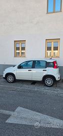Fiat panda 1.0 hybrid dicembre 23