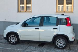 Fiat panda 1.0 hybrid dicembre 23