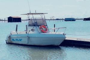open Bellingardo 20 wa, 6mt, suzuki df 115 cv 