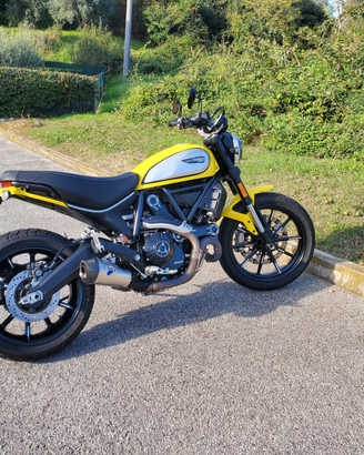 Ducati Scrambler Icon