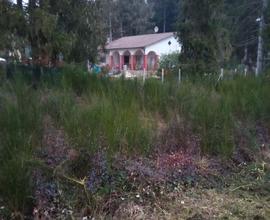 Terreno agricolo Altipiani di Arcinazzo (Fr)