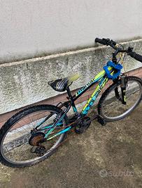 bici ragazzo ruota 24