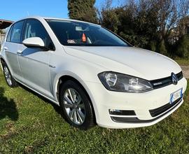 Volkswagen Golf 1.4 TGI 5p. Executive BlueMotion