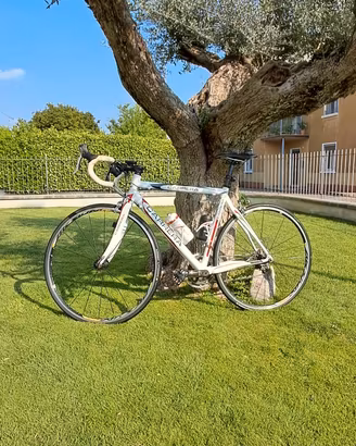 bicicletta corsa uomo 