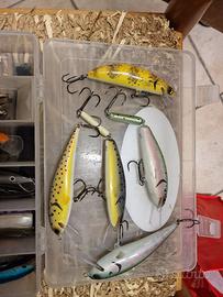 esche pesca trota marmorata