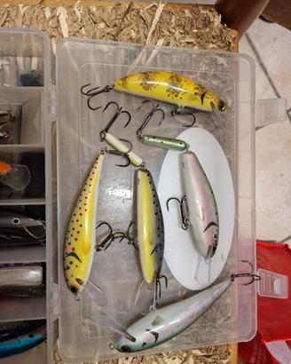 esche pesca trota marmorata