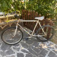 Bicicletta bottecchia