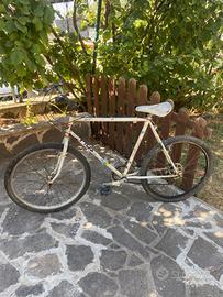 Bicicletta bottecchia