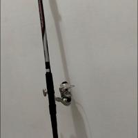 Canna da pesca