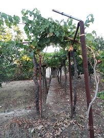 Terreno agricolo bari