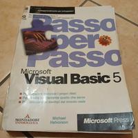 Visual Basic e Access 97