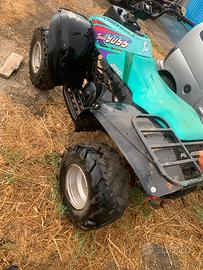 Quad POLARIS