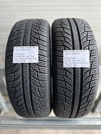 2 PNEUMATICI USATI GT RADIAL ALL SEASON 175 65 R14