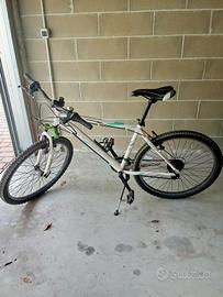 bicicletta da ragazzi