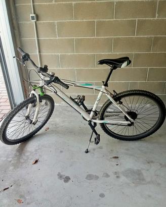 bicicletta da ragazzi