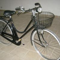 bicicletta