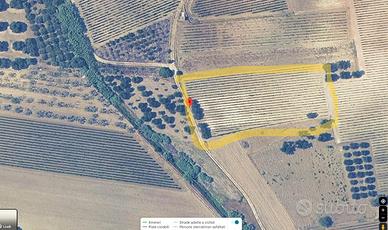 Terreno - San Giorgio Jonico