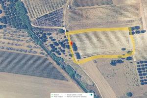 Terreno - San Giorgio Jonico