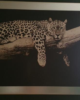 tela  quadro design
