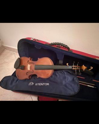 violino 
