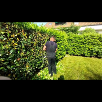 Giardinaggio e manutenzioni