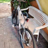 Bici uomo e donna 