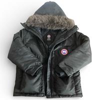 Canada goose